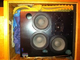loho quested monitors 1